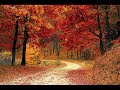 Albinoni Adagio In G Minor Albinoni Adagio In G Minor