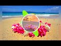 Sele Local String Band Saratokora рџ Ґрџ рџ є Sele Local String Band Saratokora рџ Ґрџ рџ є