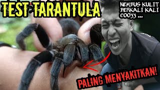 DIGIGIT BERKALI KALI! GIGITAN TARANTULA PALING MENYAKITKAN DAN CARA MENGOBATINYA! screenshot 3