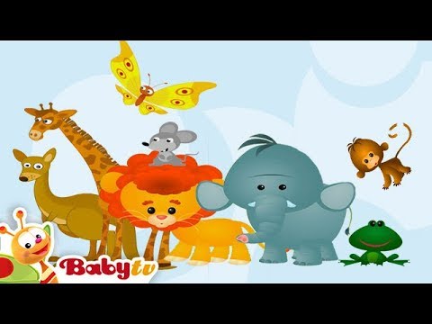 Wild Animal Sounds and Names for Kids & Toddlers 🦁 🐻 🐵 | @BabyTV