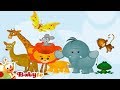 Wild Animal Sounds And Names For Kids Toddlers BabyTV 