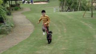 20100424-Green Breeze-9