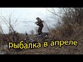 Рыбалка в конце апреля. Чайник ловит на фидер.