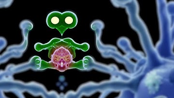 Top AI PREDATORS emerge from a continuous evolutionary process