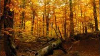Iday - Autumn Romance