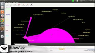 EtherApe: Monitor your network!