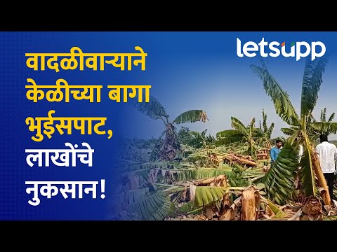 Rain with storm in Pandharpur | वादळीवाऱ्याने होत्याचं नव्हतं करुन टाकलं! | LetsUpp Marathi