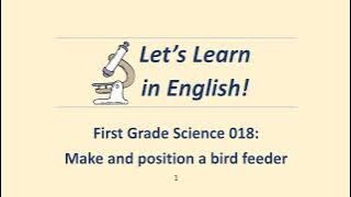 Let's Learn in English Science 1-018 Make and position a bird feeder