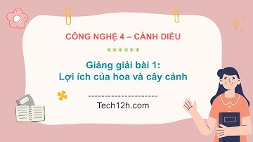Giảng bài 1: Lợi ích của hoa và cây cảnh | Bài giảng công nghệ 4 cánh diều