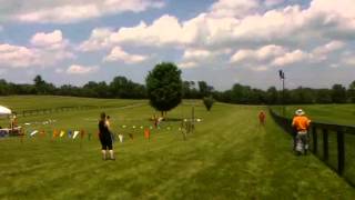 Astrobee rocket launch on G40-4T motor.