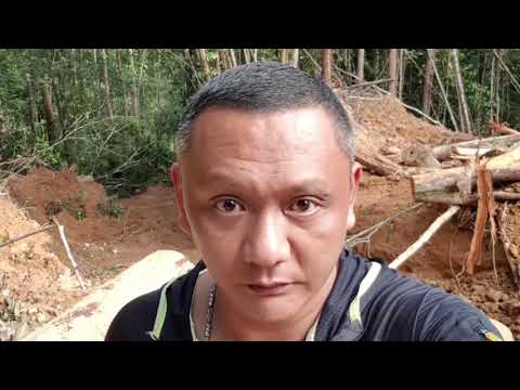 不再犹豫