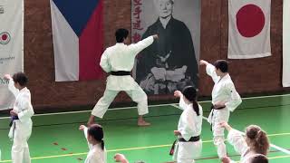 Naka Sensei, JKA Gasshuku Czech Republic, Prachatice 2019