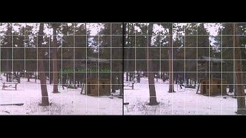 Stereo cameras to track people and determine size/distance