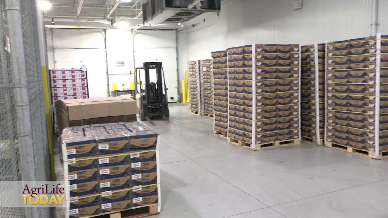 eBeam technology at Texas A&M tested in commercial-use study