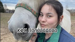 ПРИЕЗД ВЕТ.ВРАЧЕЙ! ПОЕЗДКА В ПЕРМЬ! ЗЕФИР!