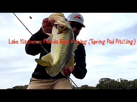 Lake Kissimmee Florida Bass Fishing (Spring Pad Pitching)