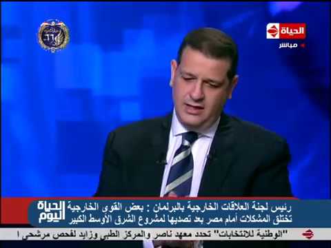 الحياة اليوم النائب طارق رضوان القوى الخارجية تختلق المشاكل مثل حقوق الإنسان و حقوق النوبيين