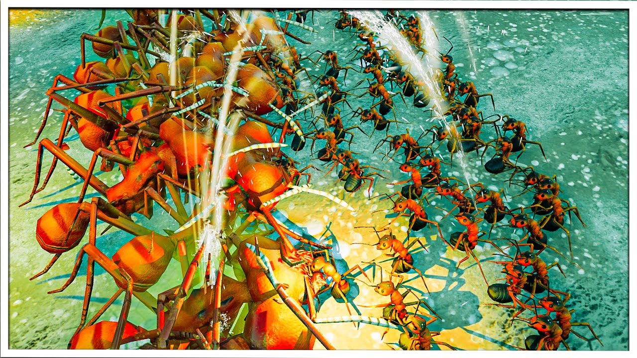 Major Leaf Cutter Ants Go To Battle Against Wood Ants Empires Of The