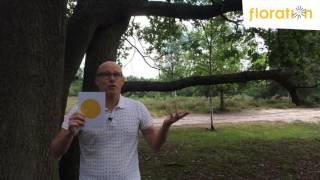 Bad Is Stronger Than Good