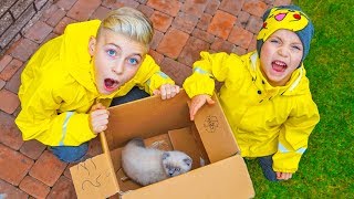 Прячем бездомного котЁнка от ПАПЫ. Hiding a homeless kitten from DAD. Прячем бездомного котЁнка от ПАПЫ. Hiding a homeless kitten from DAD.
