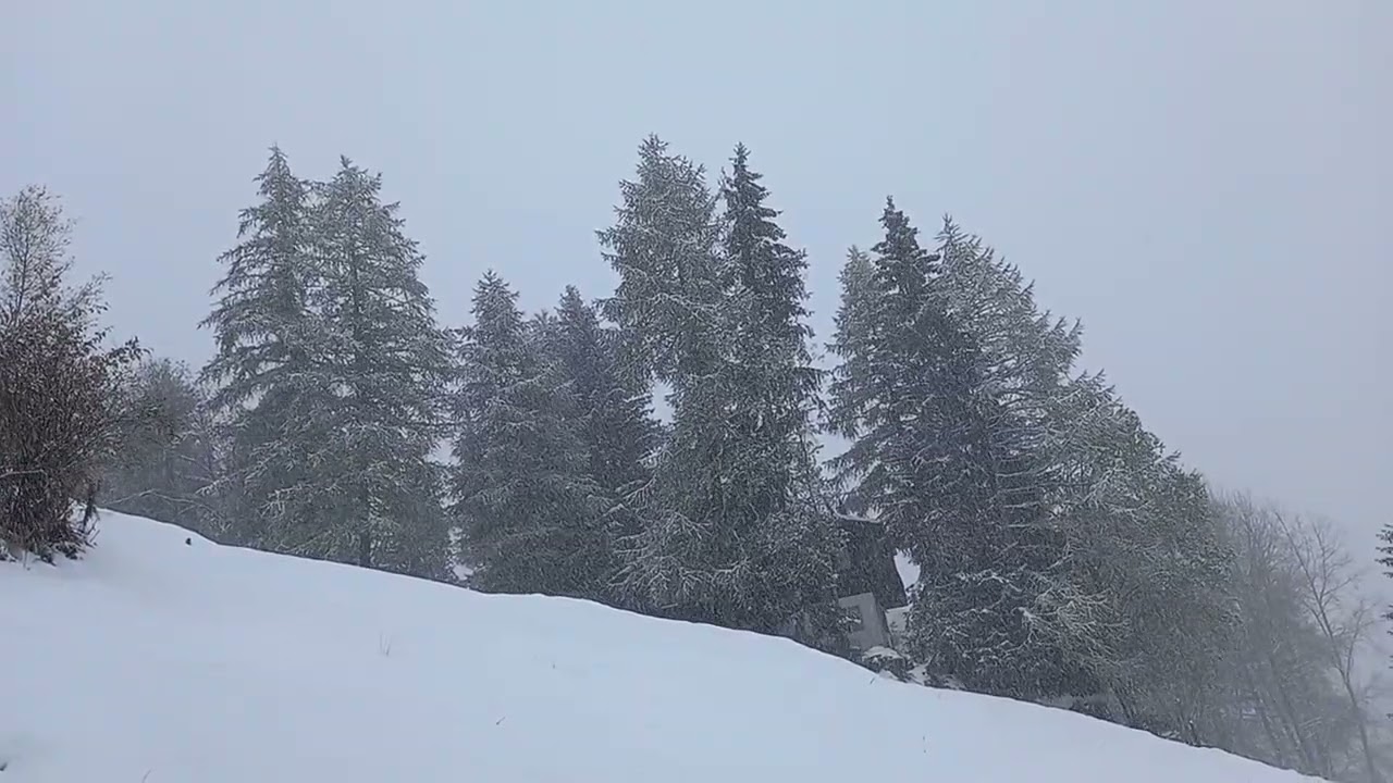 Winter 2023 - Bisschen Schneefall