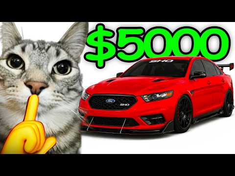 Best First Car For A Car Guy