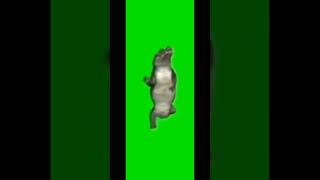 Download Lagu buaya joget #shorts MP3