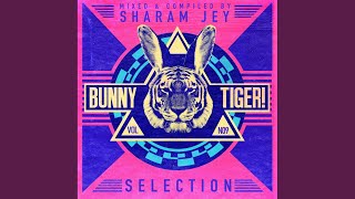 This S  t Go original Mix