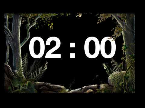 2 minute 4K Timer