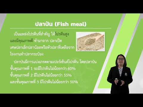 ความหมายของอาหารสัตว์ วันที่ 13 ส.ค.63