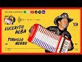 🐴 TORDILLO NEGRO - Lucerito Alba【 Audio Oficial 】 🪗 Chamamé Chamigo #13