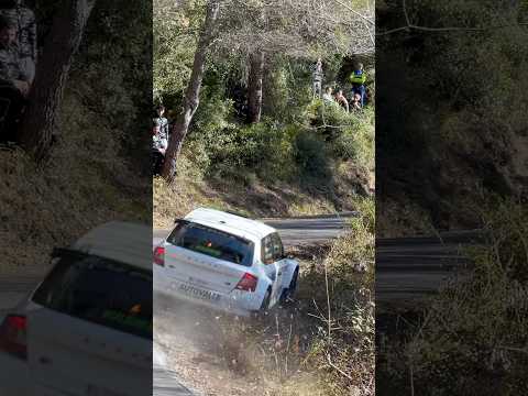 ๐ #rally #rondevalmerula #race #motorsport #skoda