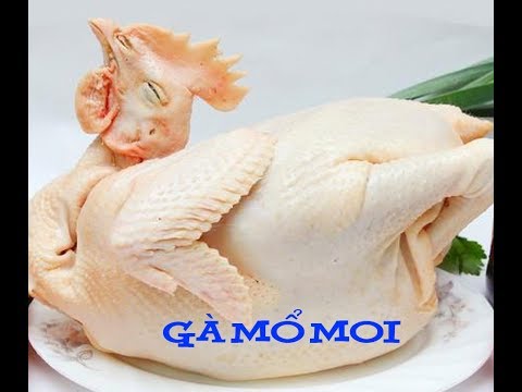 CÁCH MỔ MOI GÀ ĐƠN GIẢN, NHANH, ĐẸP MẮT | Foci