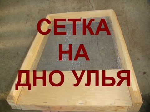 БОЛЬШОЙ И ЕДИНСТВЕННЫЙ МИНУС СЕТЧАТОГО ДНА. ЗИМОВКА НА СЕТКЕ. Пасека 9 февраля 2017 года