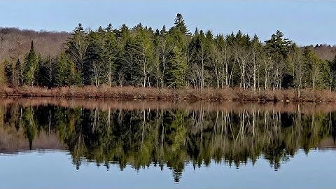 Photolink Library Archive | Chapter 2