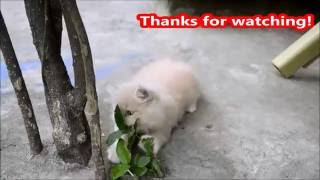 Vlog Keep Calm And Watch Emkoi Liannemista