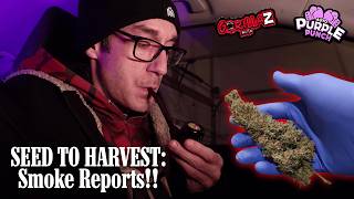 Seed To Harvest FINAL PART! Homegrown Purple Punch & Gorilla Z SMOKE REPORT!!