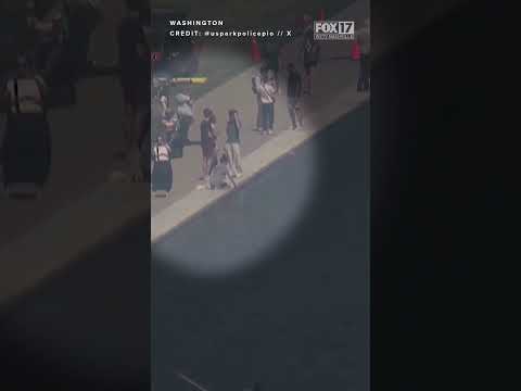 US Park Police trying to identify person videoed at Reflecting Pool amid investigation