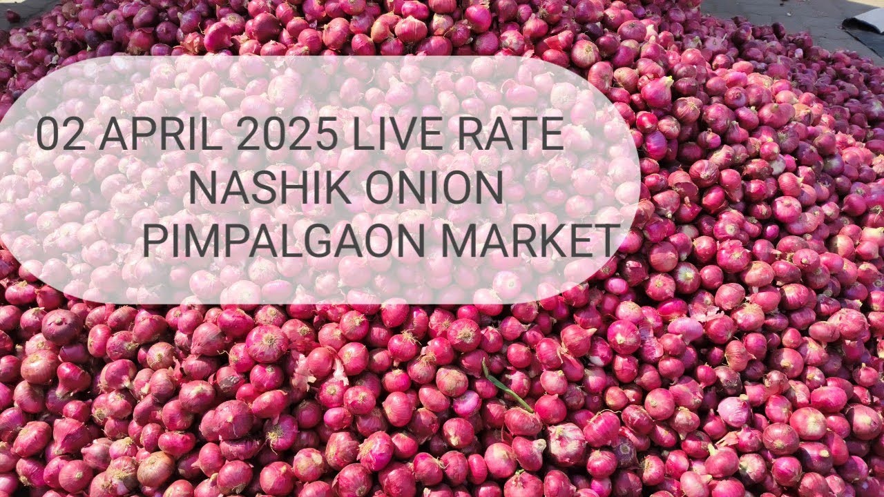 Live onion market