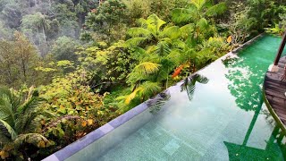 Beautiful Tropical Garden Pools