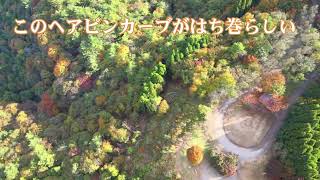 20221029はちまき展望台 BIKE DJI Mavic Air2 空撮 ハチ北 養父市から香美町 若干紅葉