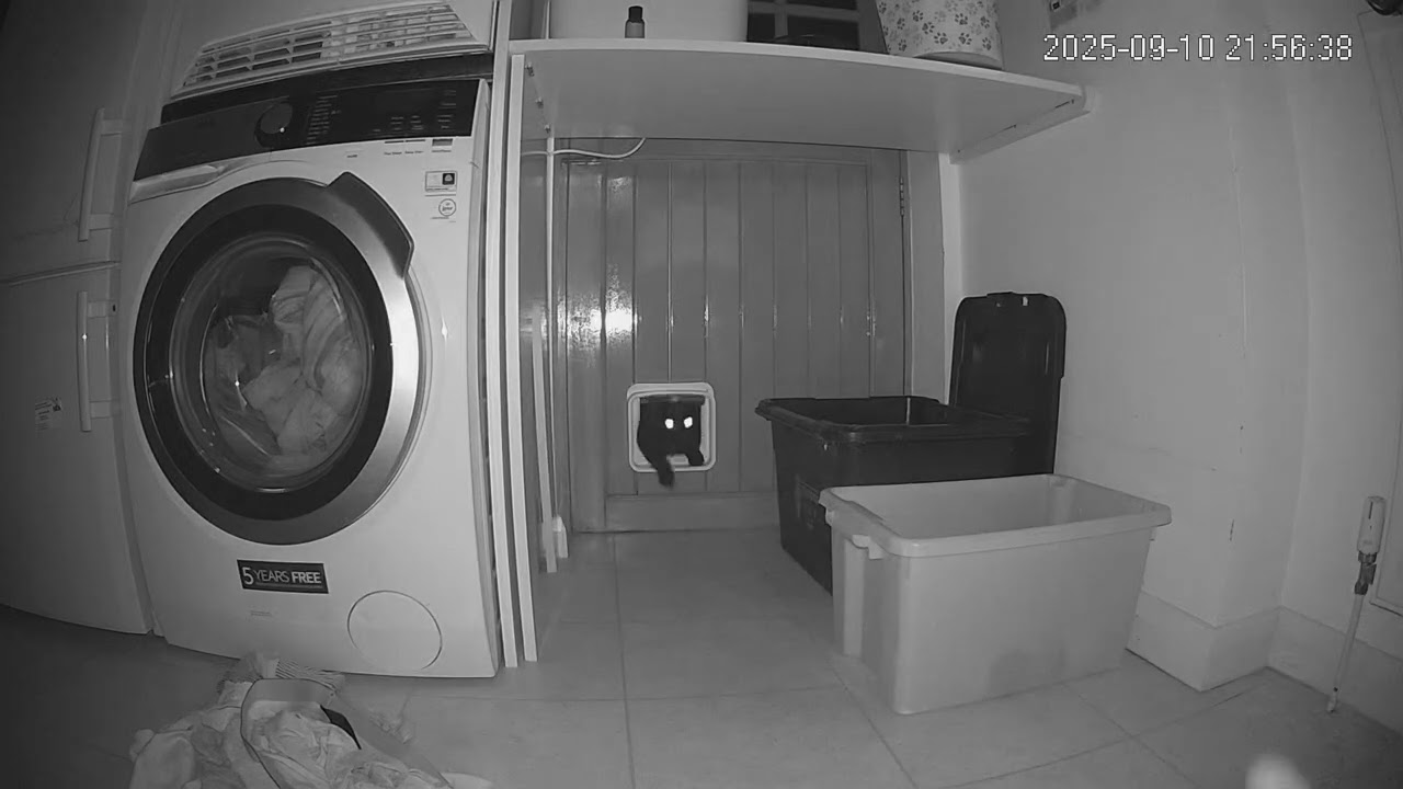 Sure Petcare dual scan catflap tailgate FAIL #2