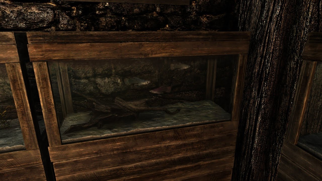 The Fish in the Aquarium React to the Player The Elder Scolls V Skyrim
