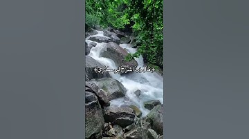 قرآن كريم تلاوة خاشعة بصوت رائع #quran #قران_كريم #قرآن #اكسبلور