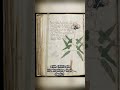 Unraveling the Mysteries of the Voynich Manuscript 🕵️‍♂️