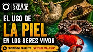 La increíble piel de los animales: armaduras, camuflaje y supervivencia | Documental completo
