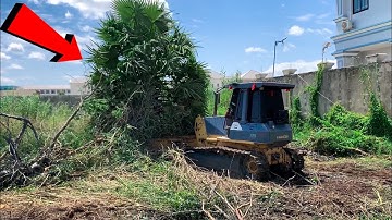 New Action Project Filling Land KOMATSU Dozer D41P Clearing Forest And Push Soil with DumpTruck 5ton