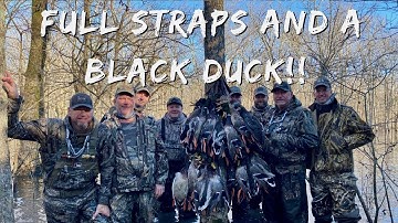 Awesome Duck Hunting In The Timber!! | Limits And A Black Duck! | Into The Woods with Rusty Creasey