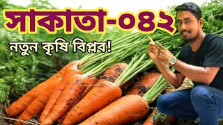 মার্কেটে ঝড় তুলছে Sakata-042 হাইব্রিড গাজর