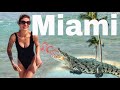 Miami. Alligator park. South Pointe Beach 🏖